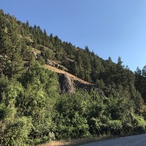 Meet your Posher, Braden